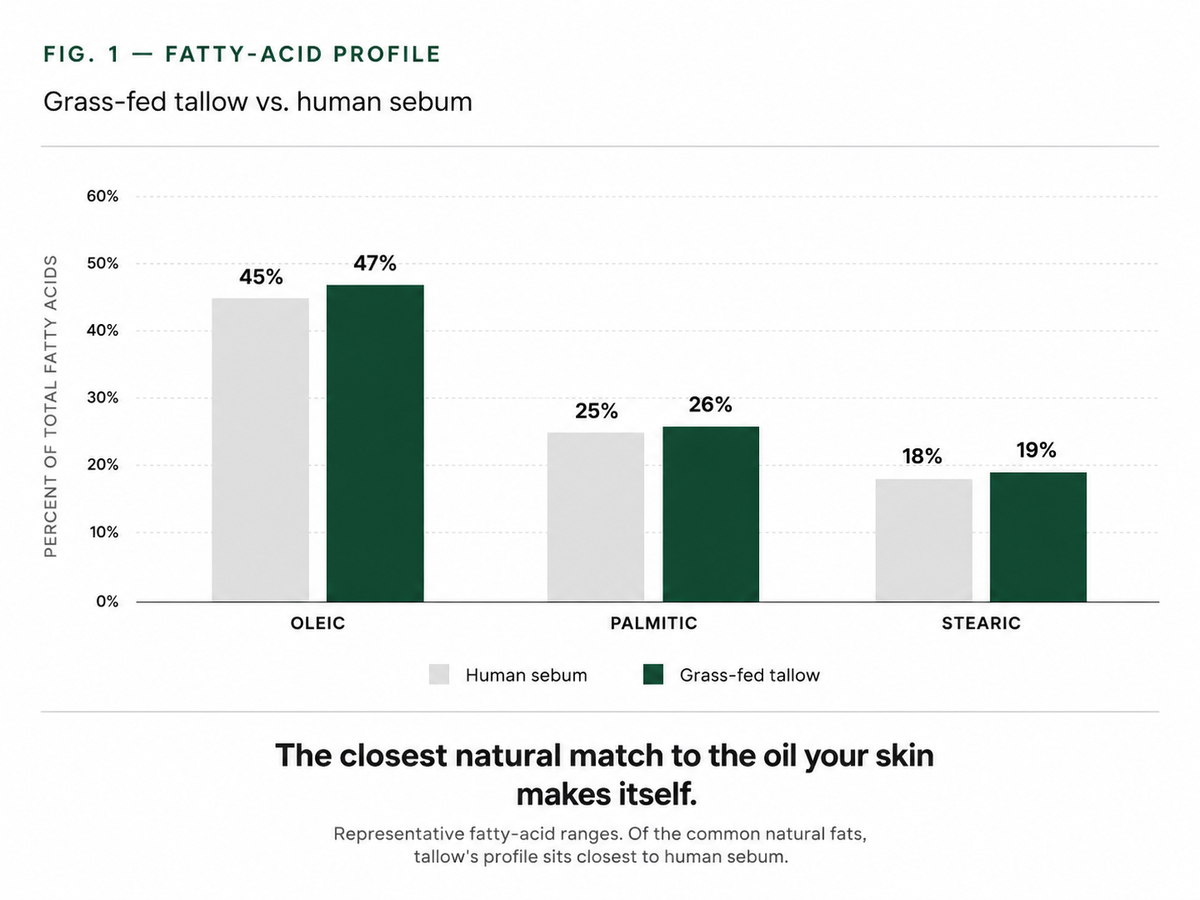 Simple moisture profile comparing skin oils and grass-fed tallow